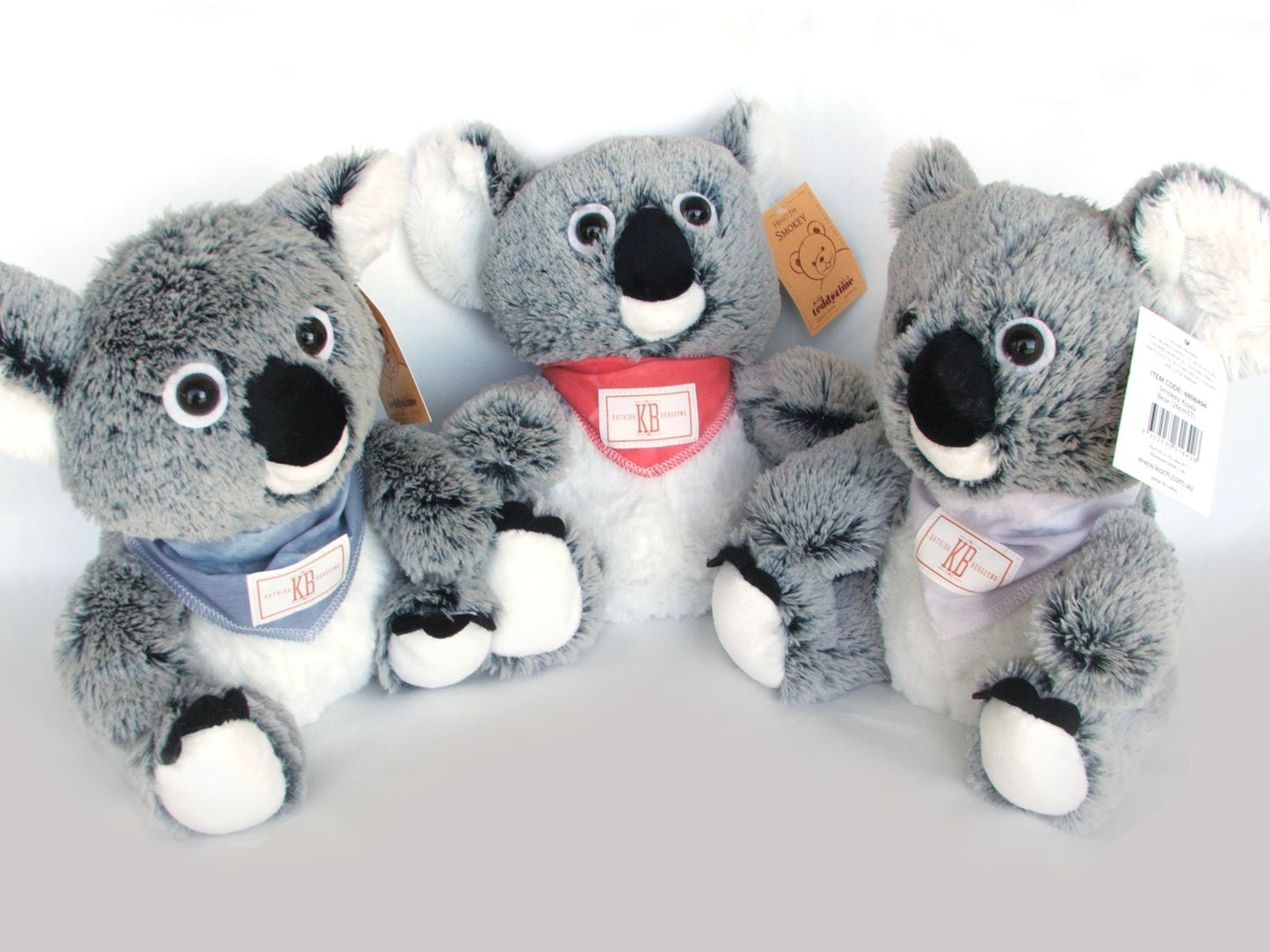Koala